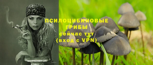 спайс Аркадак