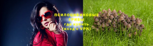 таблы Армянск