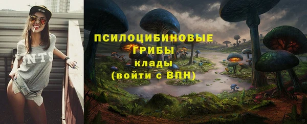 Альфа ПВП Арсеньев