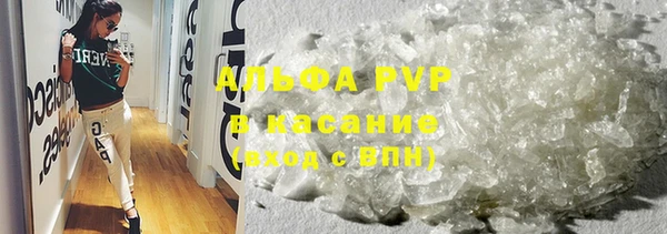 стафф Баксан
