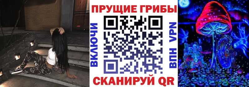 где продают   Богданович  Псилоцибиновые грибы MAGIC MUSHROOMS 